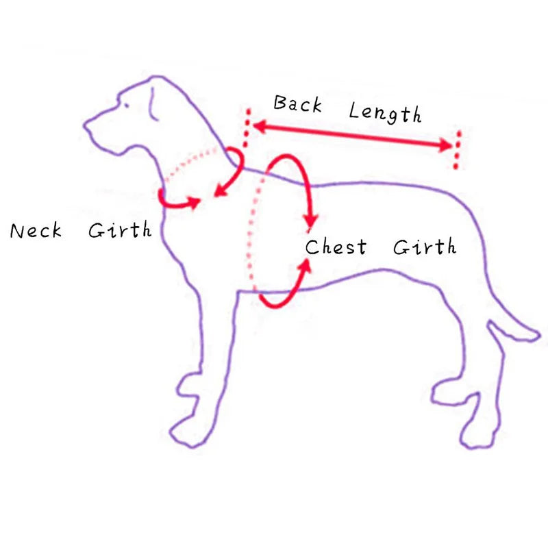 Cowboy-On-Dog Costume