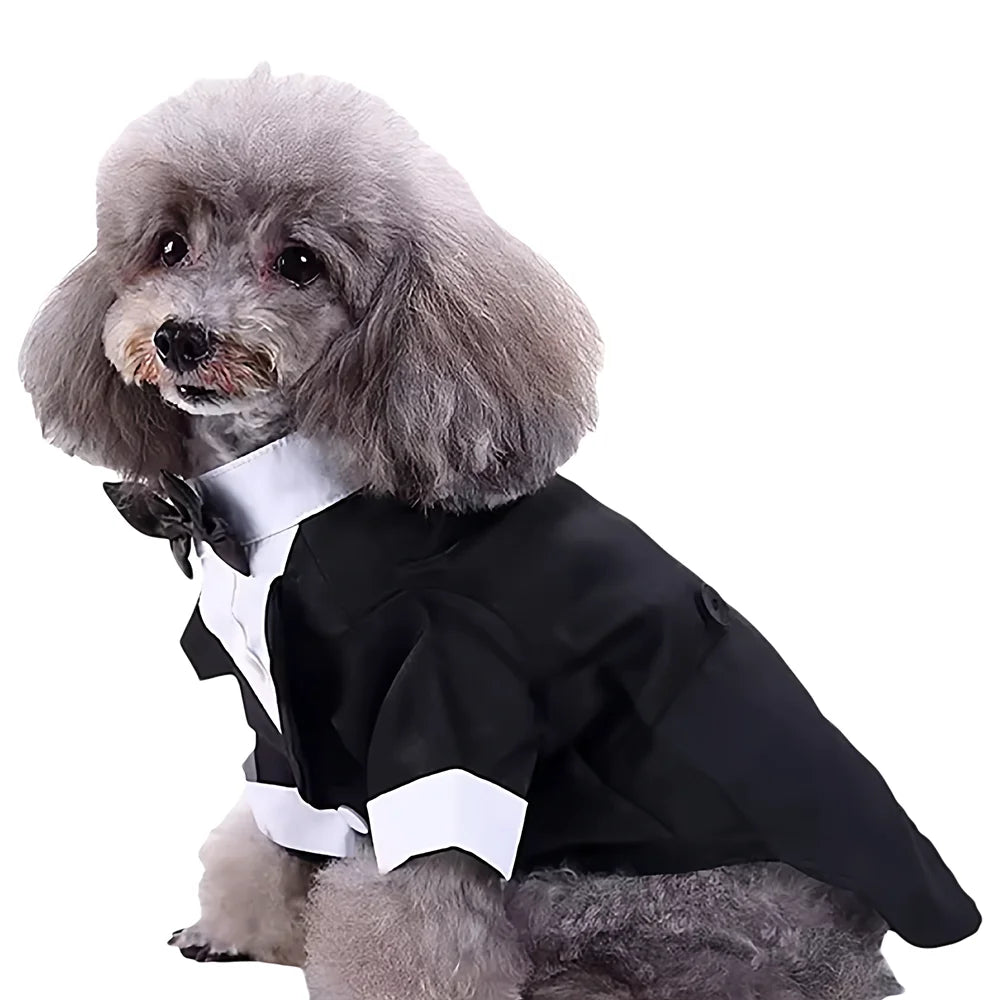 Tuxedo Costume