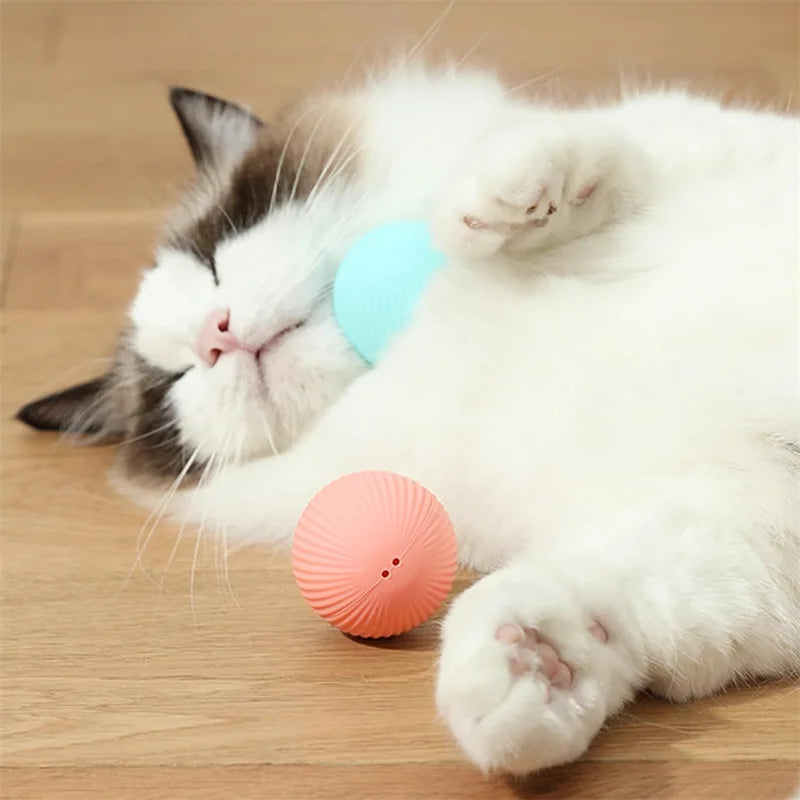 Electronic Interactive Ball