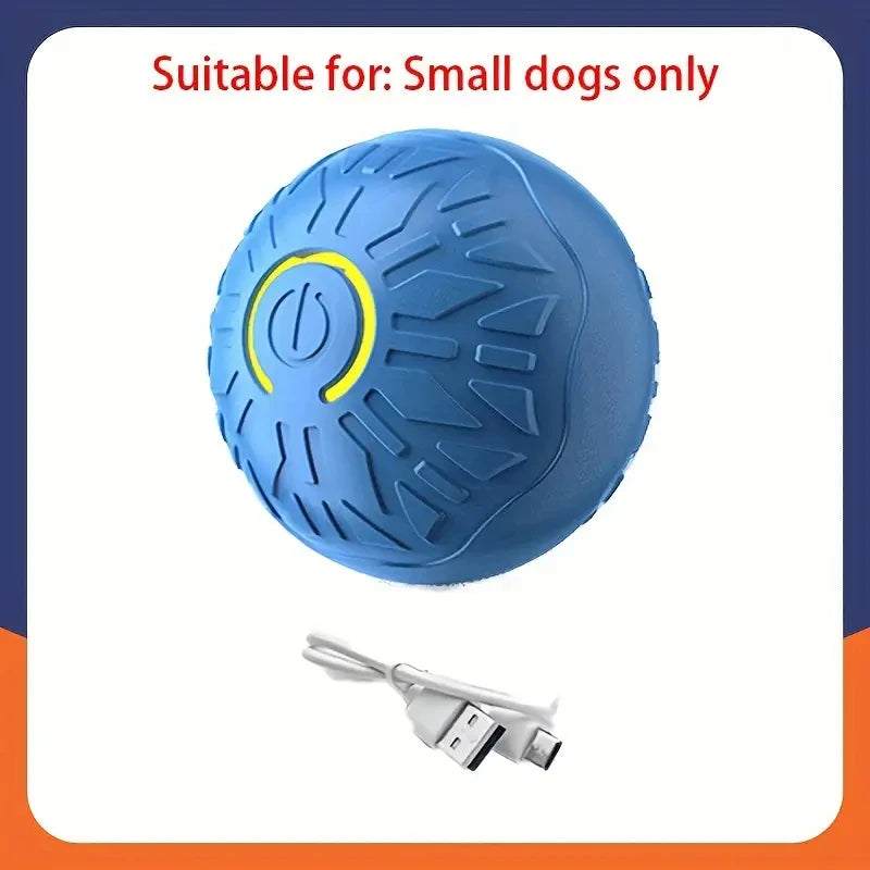 Electronic Interactive Ball