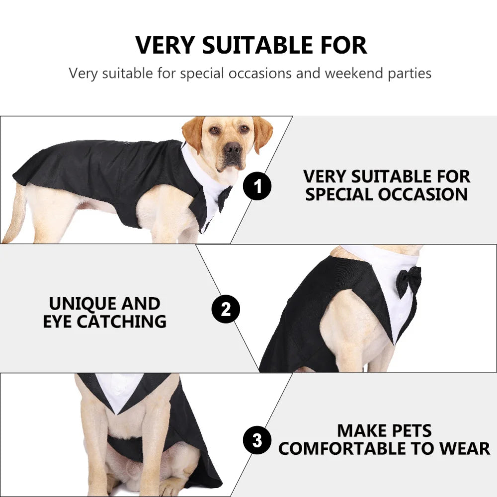 Dog Tuxedo