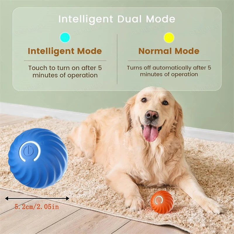 Electronic Interactive Ball