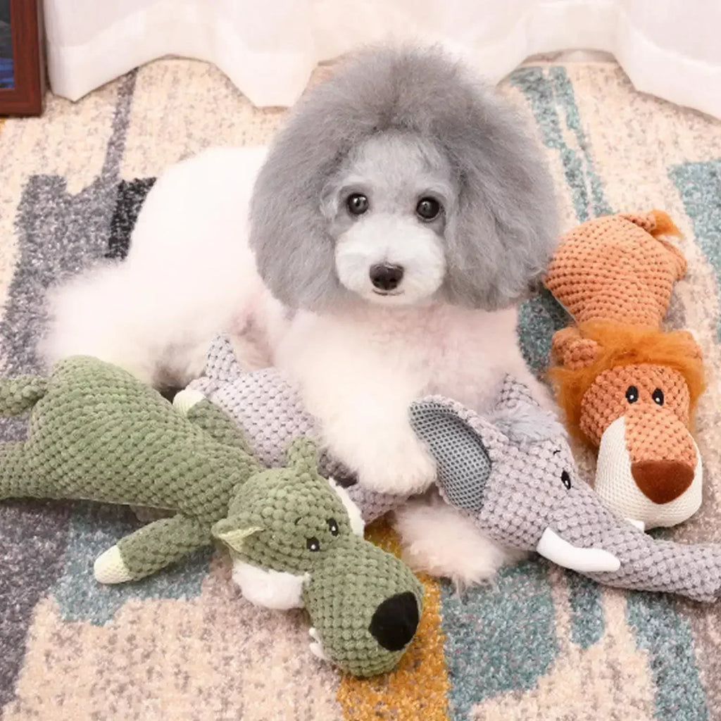 Pet Squeaky Toys