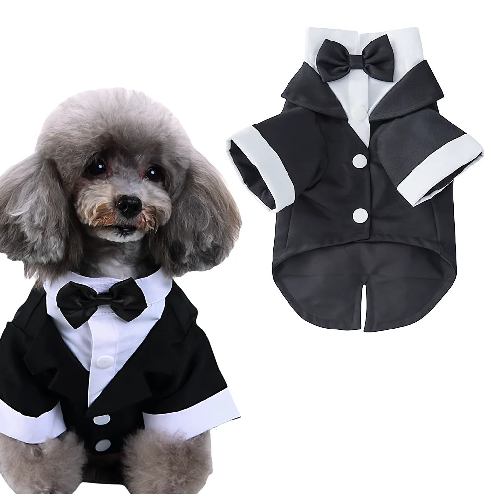 Tuxedo Costume