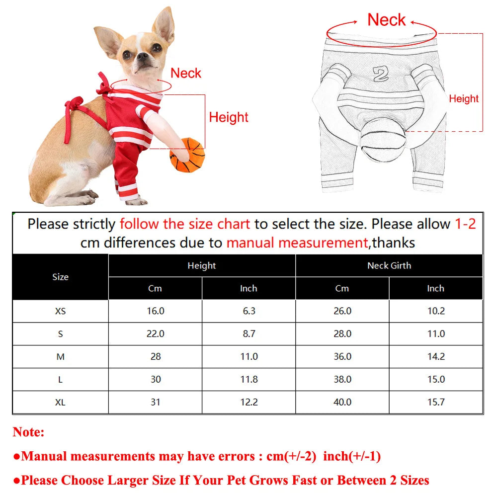Basketball Costume