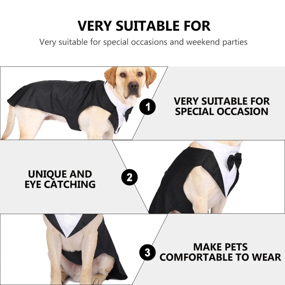 Dog Tuxedo