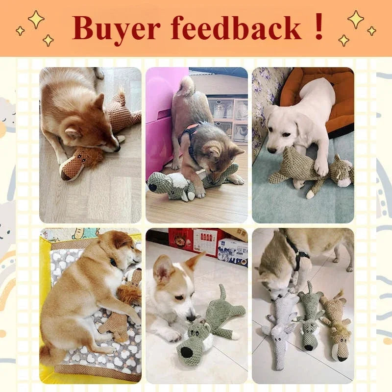 Pet Squeaky Toys