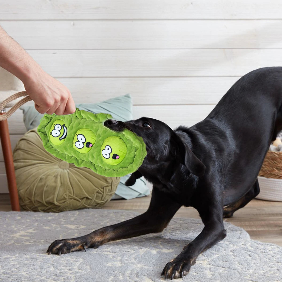 PeaPod toy