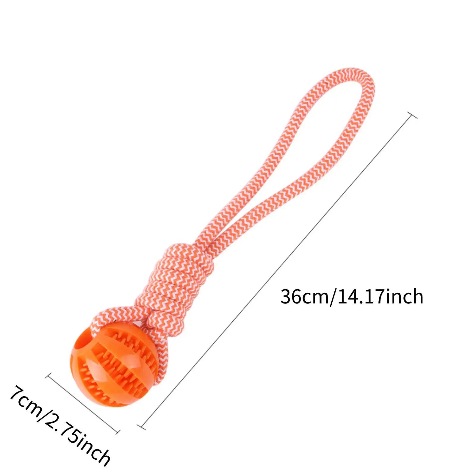 Cotton Rope Toy