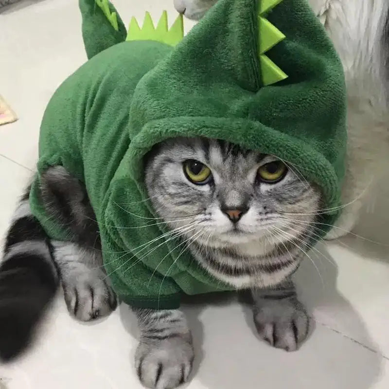 Pet Dinosaur Costume