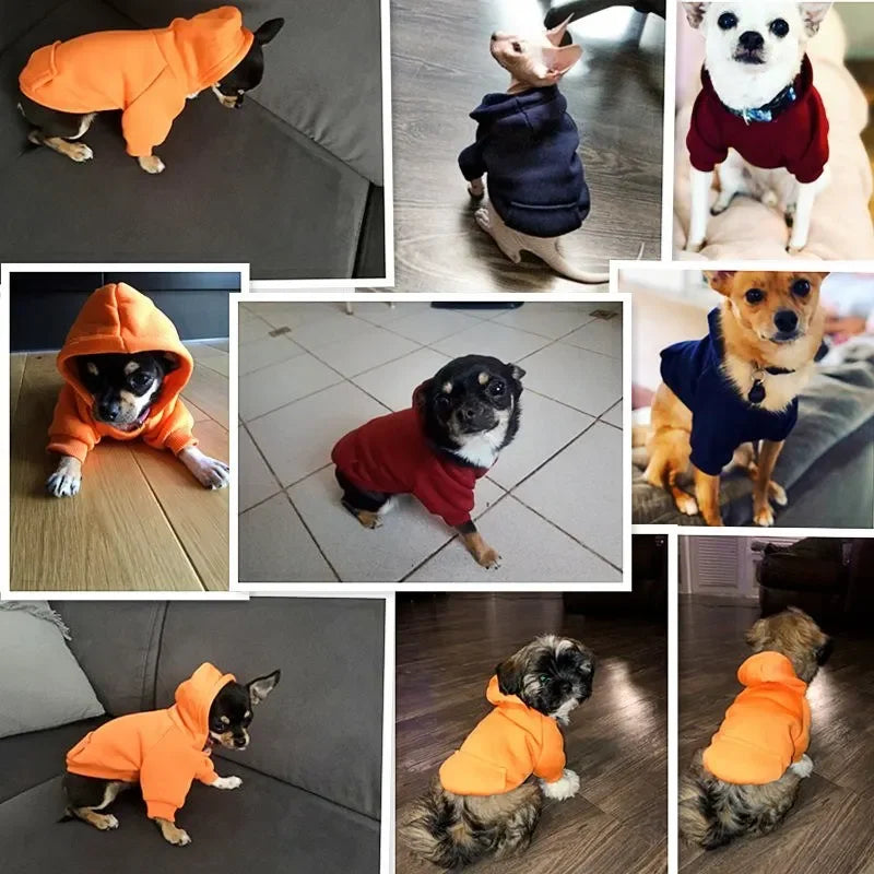 Dog Sweaters
