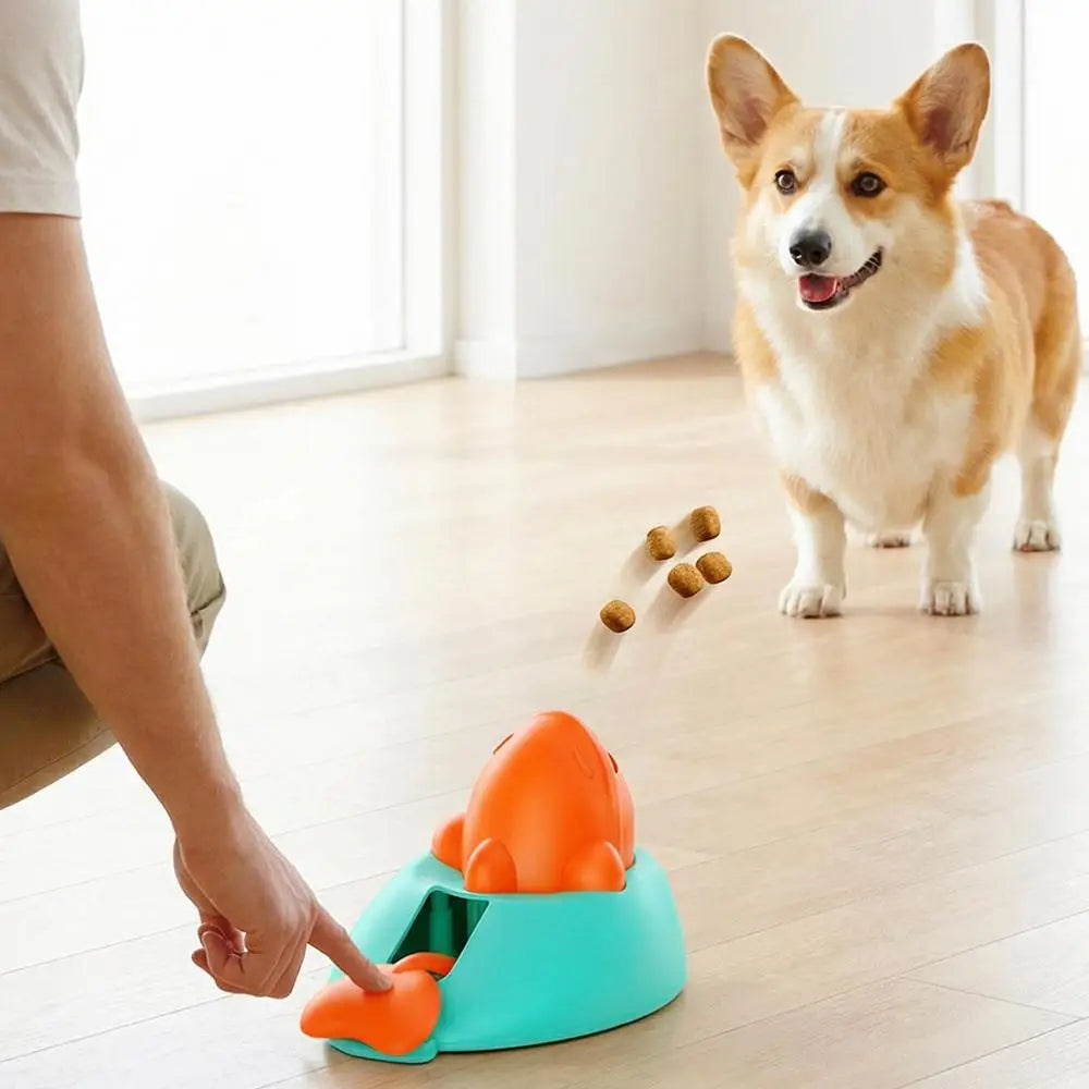 Treat Dispenser