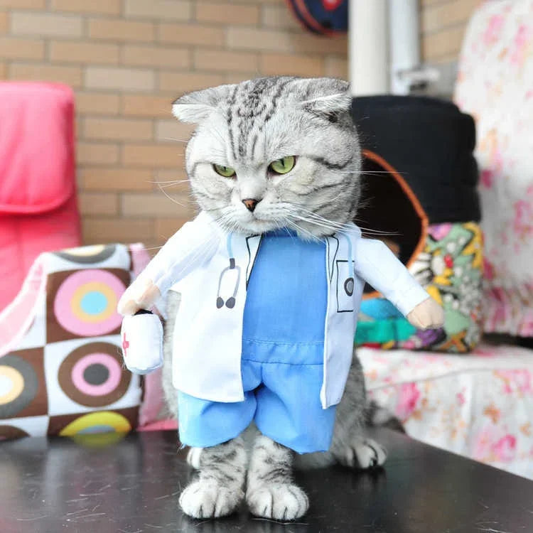 Variety Pet Costumes