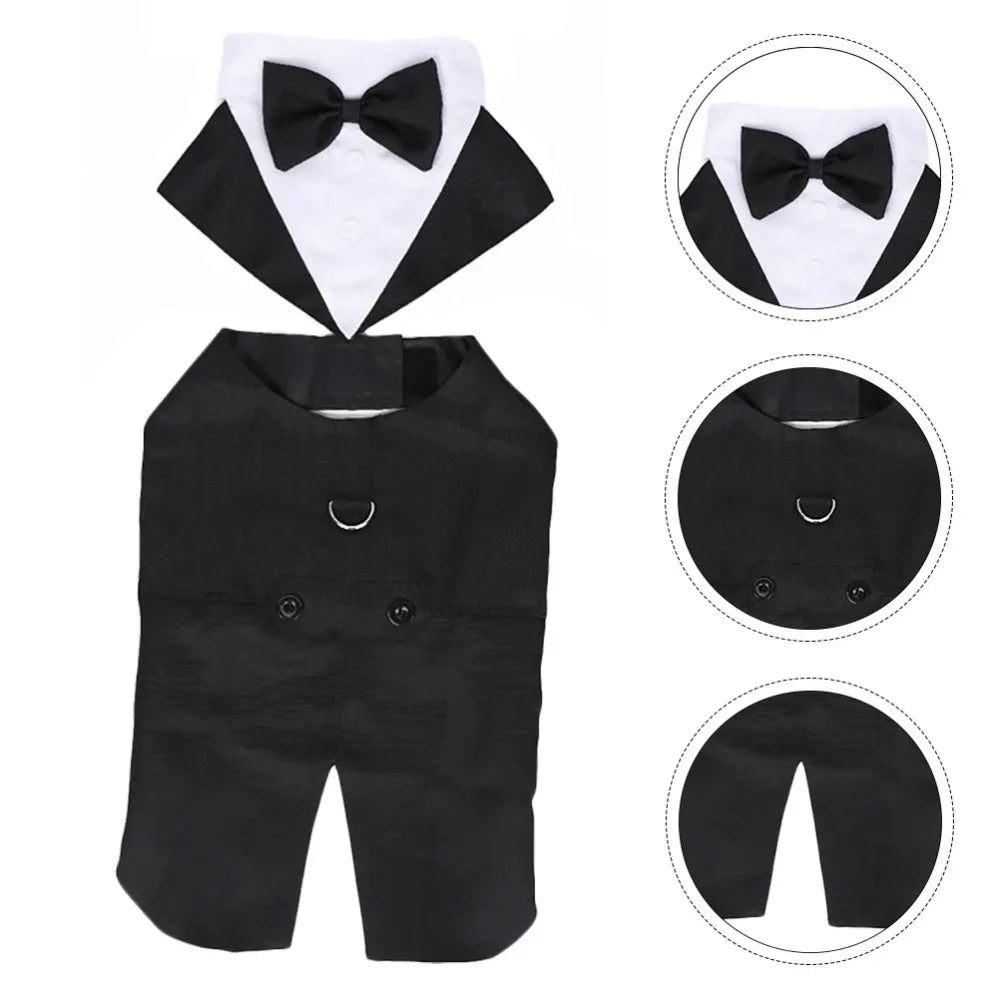 Dog Tuxedo