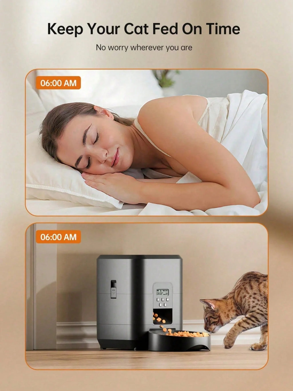 Timed Automatic Food Dispenser