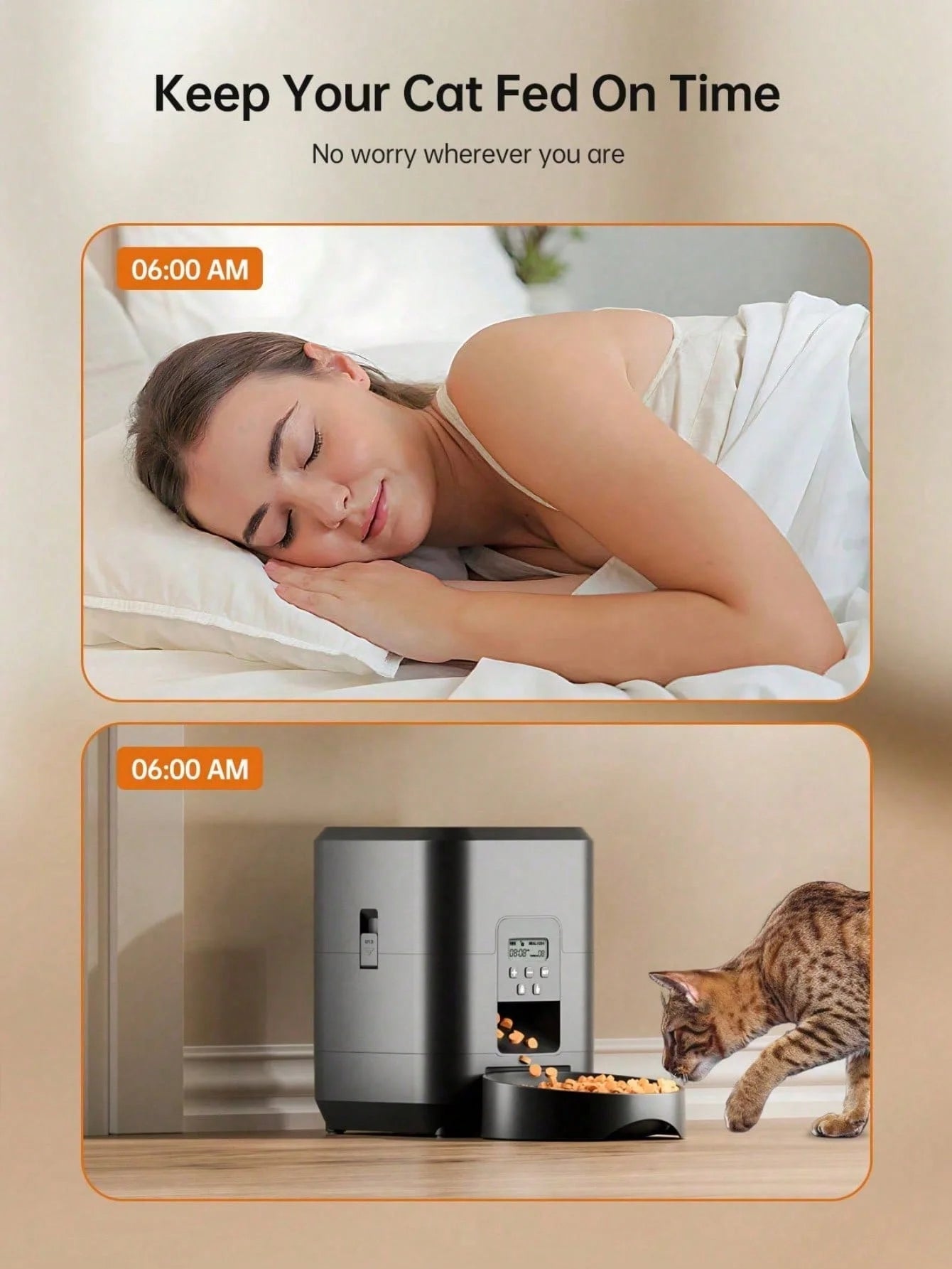 Timed Automatic Food Dispenser