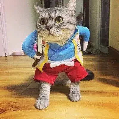 Variety Pet Costumes