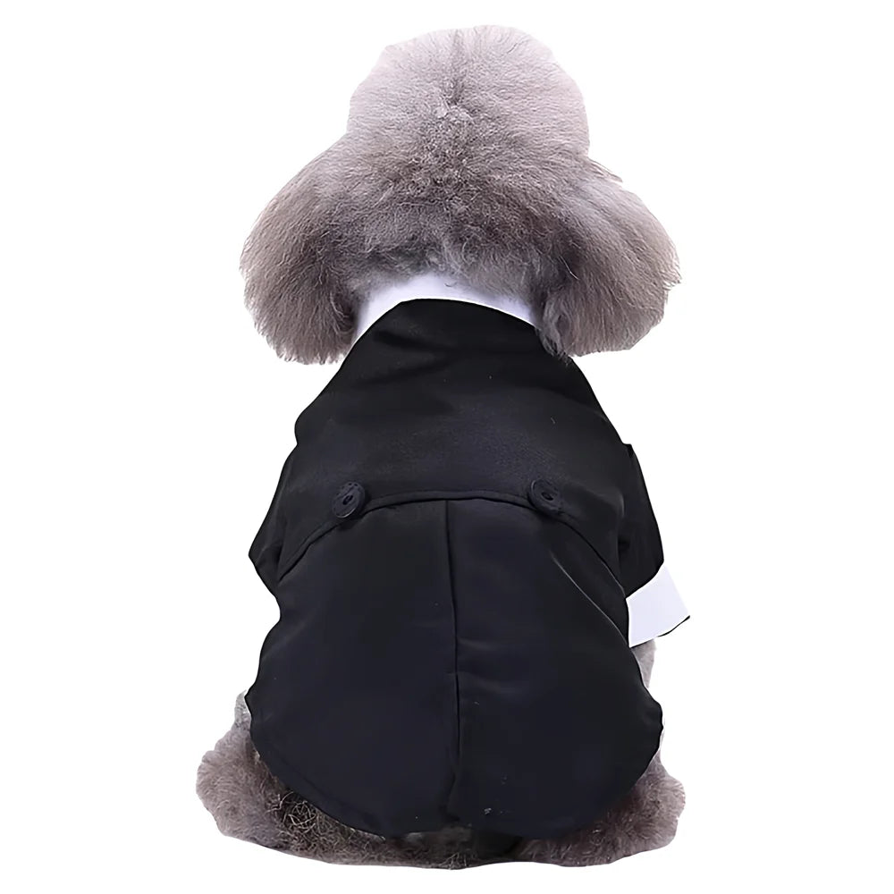 Tuxedo Costume