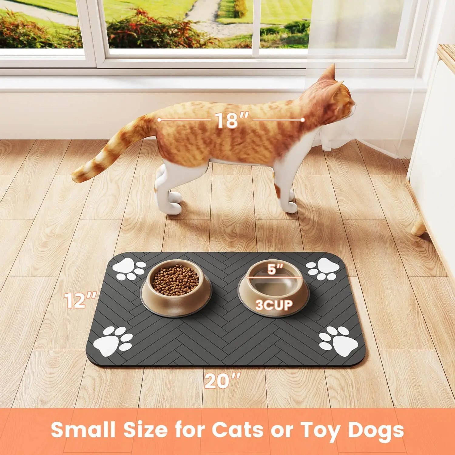 Food and Water Placemat