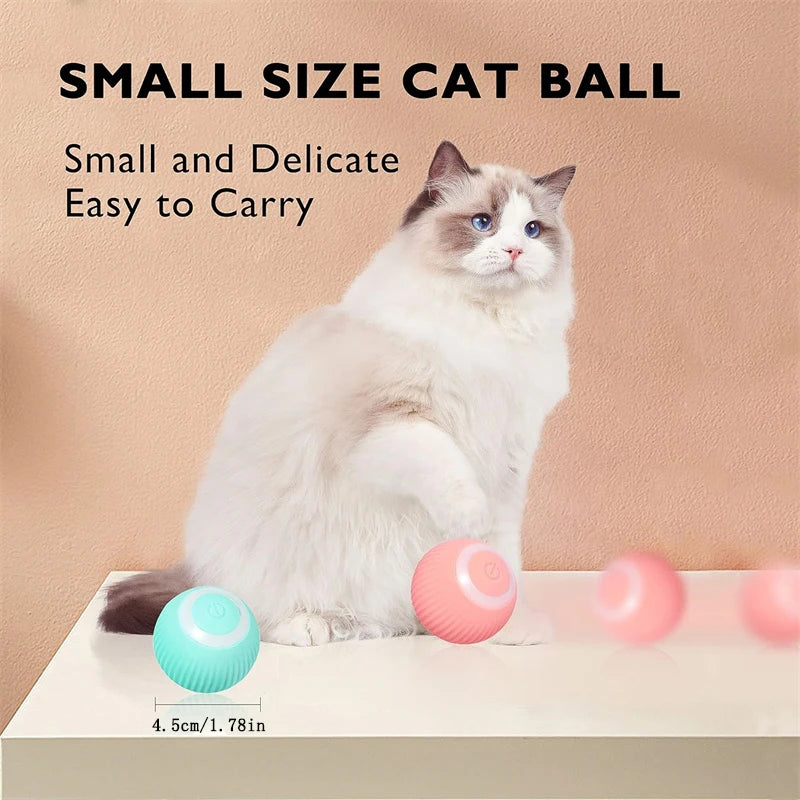Electronic Interactive Ball