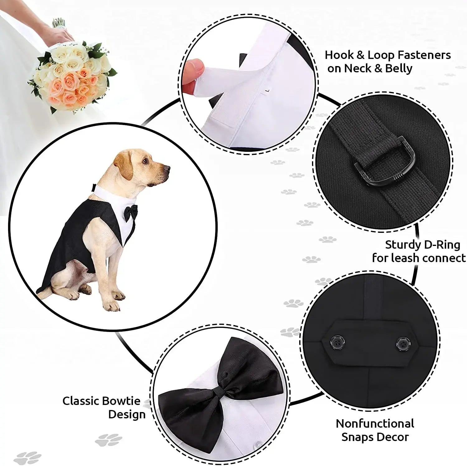 Dog Tuxedo