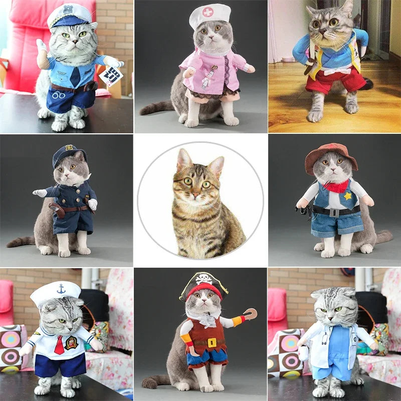 Variety Pet Costumes
