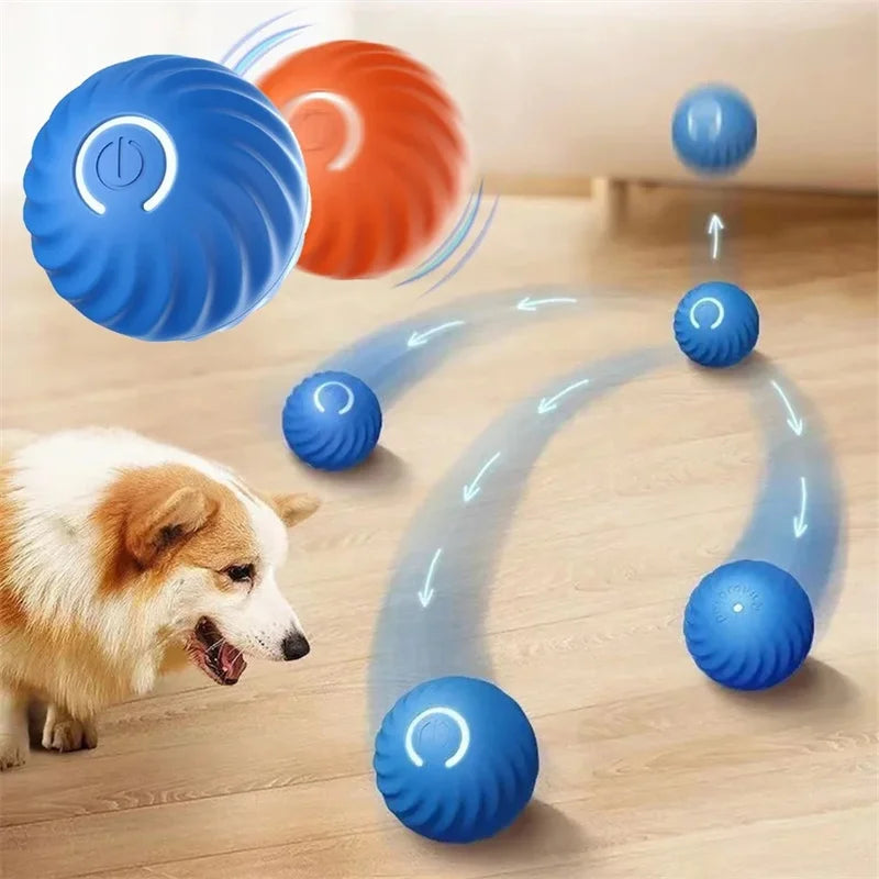 Electronic Interactive Ball