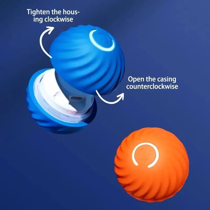 Electronic Interactive Ball