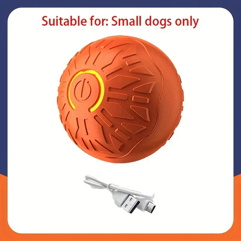 Electronic Interactive Ball