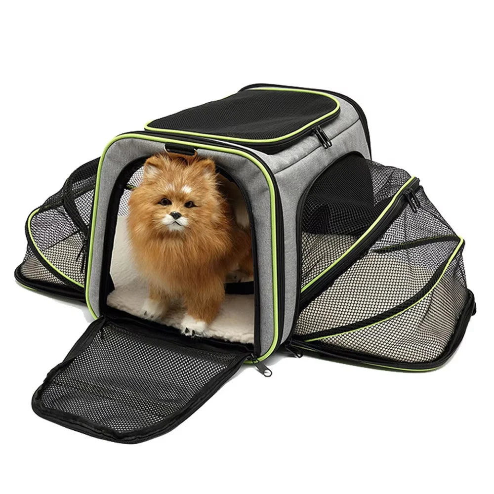 Foldable Pet Carry Bag