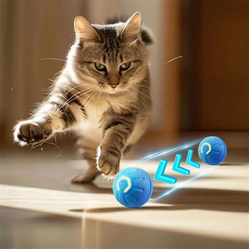 Electronic Interactive Ball