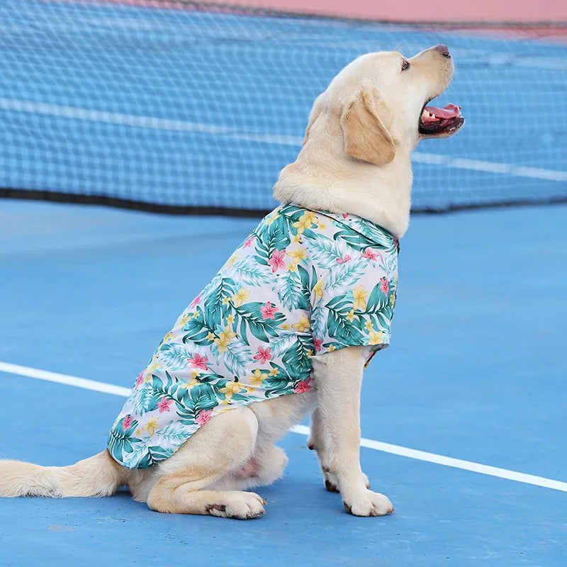 Dog T-shirt