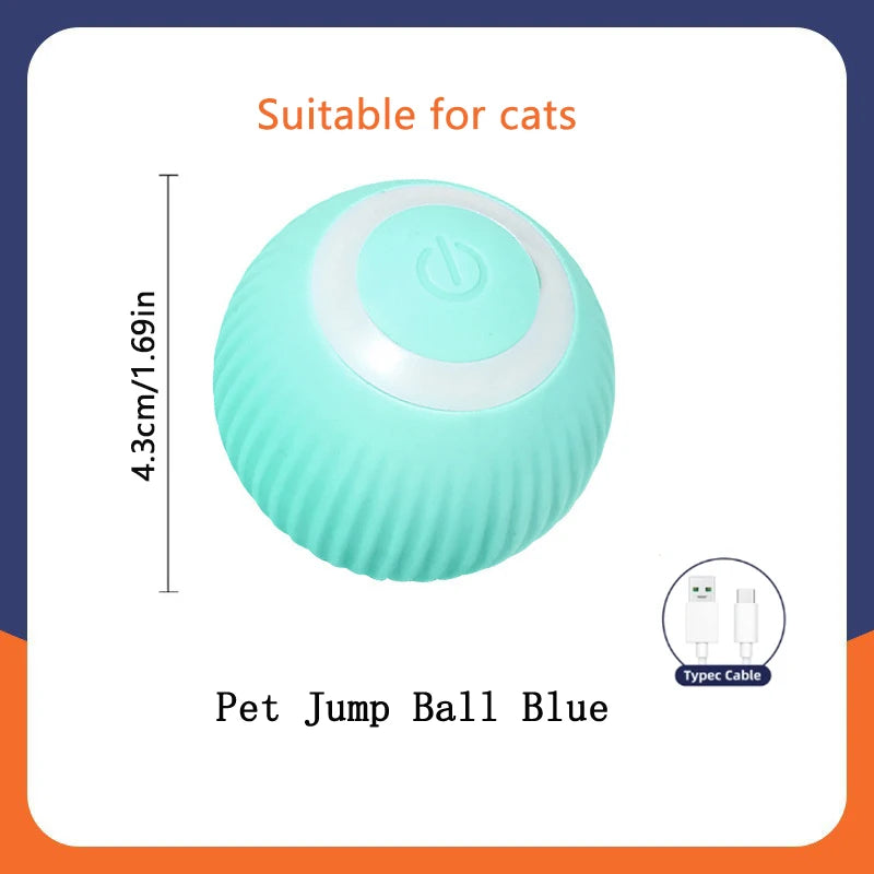 Electronic Interactive Ball