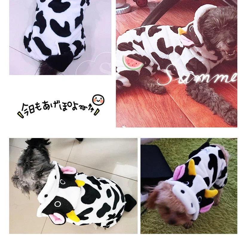 Variety Animal Costumes
