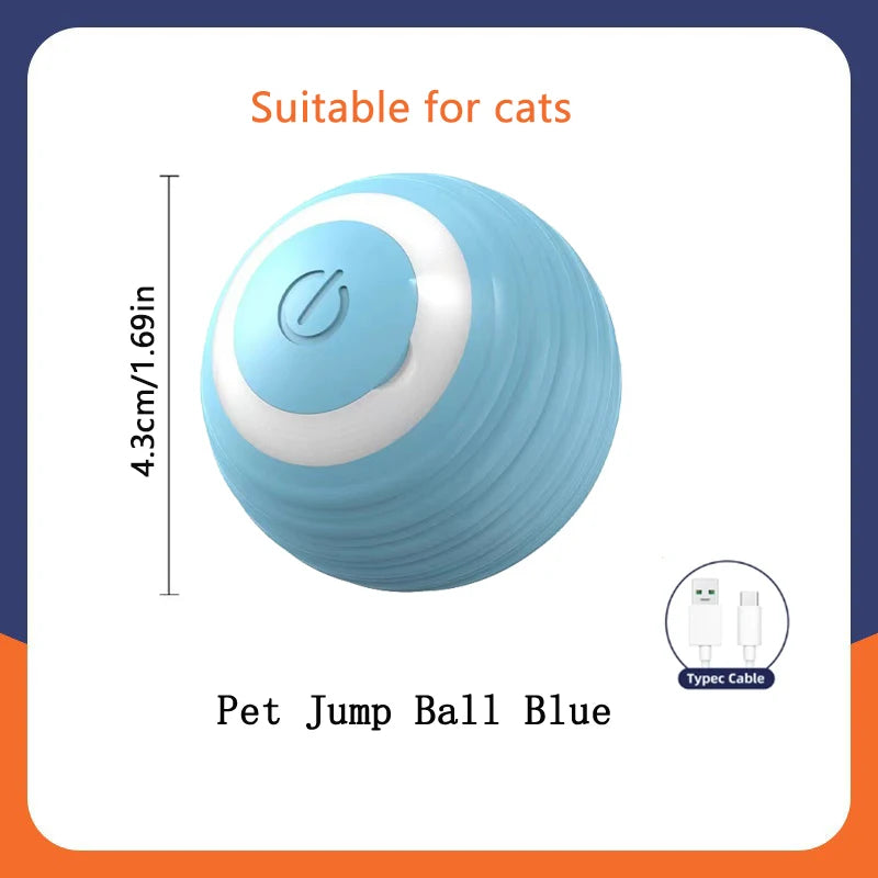 Electronic Interactive Ball
