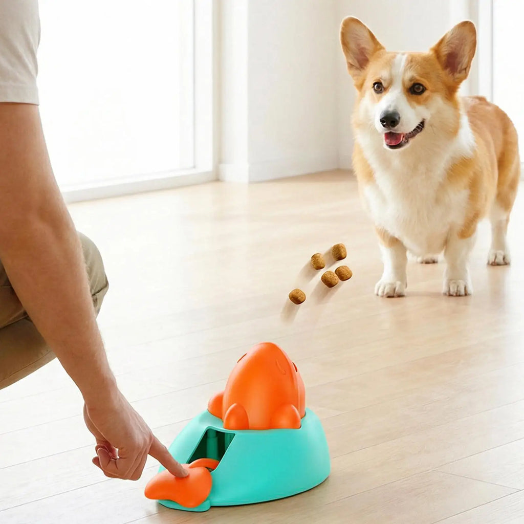 Treat Dispenser