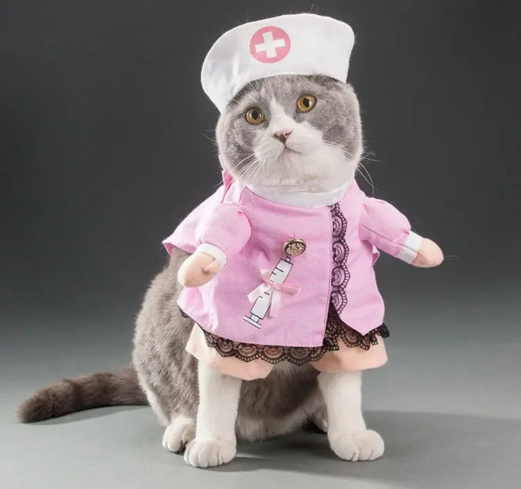 Variety Pet Costumes