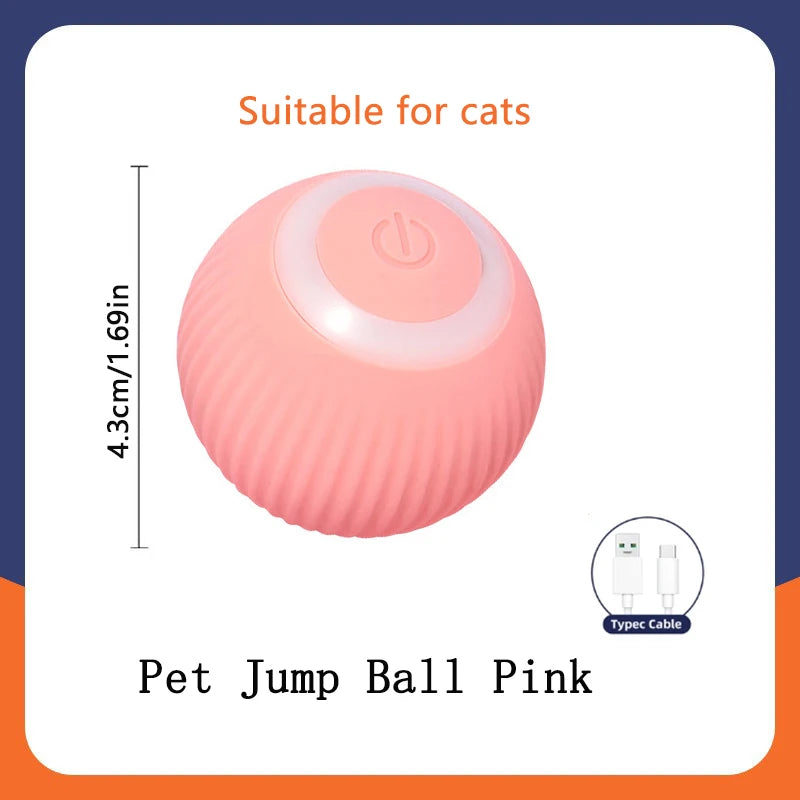 Electronic Interactive Ball