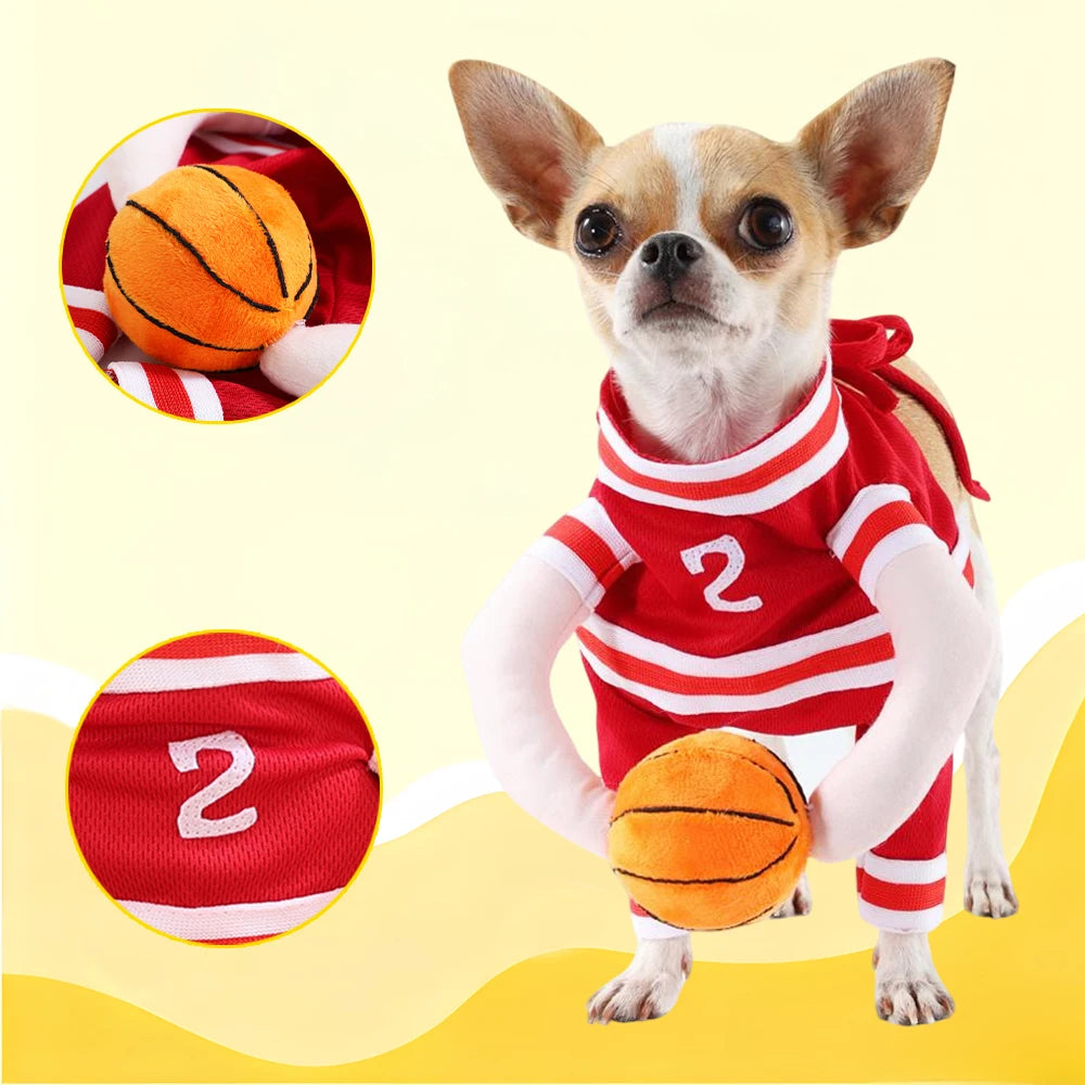 Basketball Costume