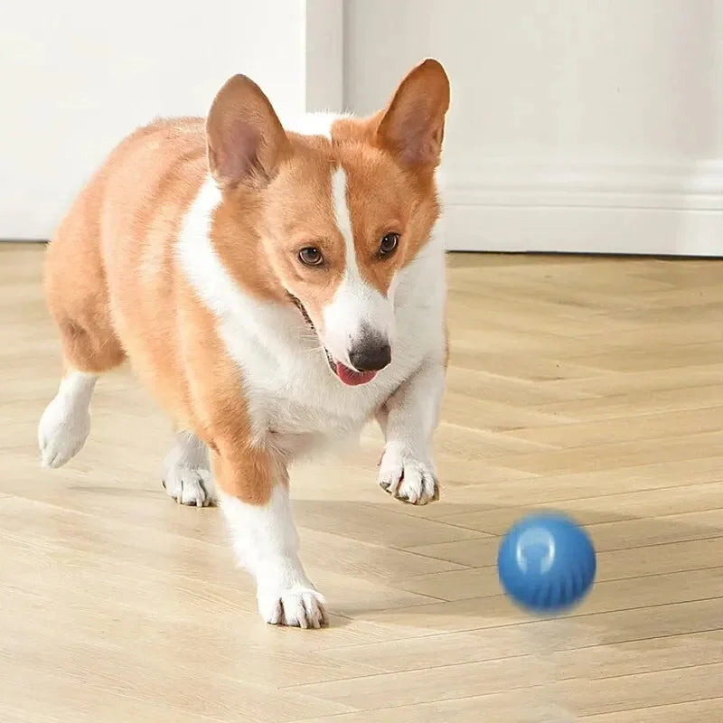 Electronic Interactive Ball