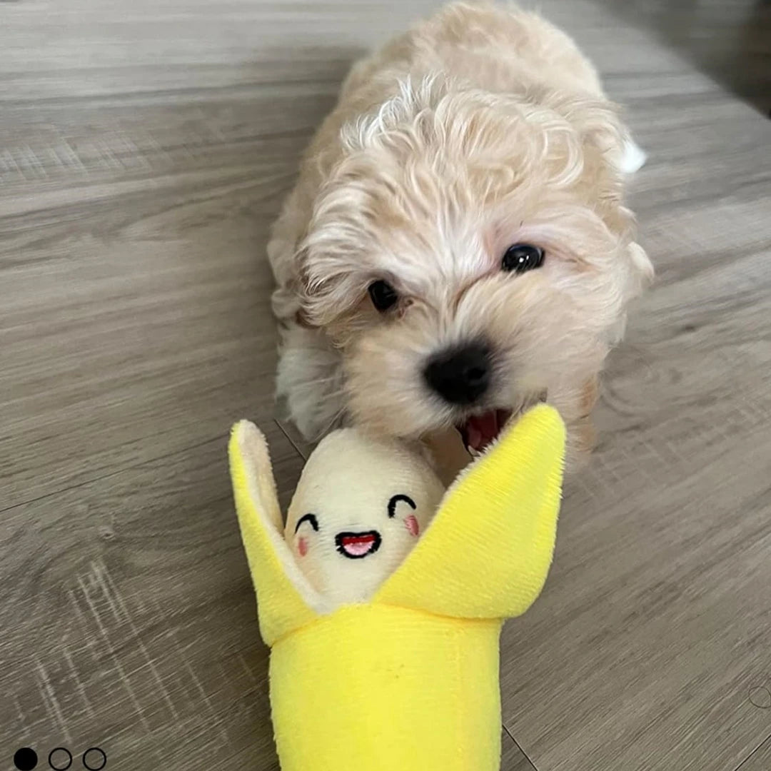 7 Piece Set of Toys