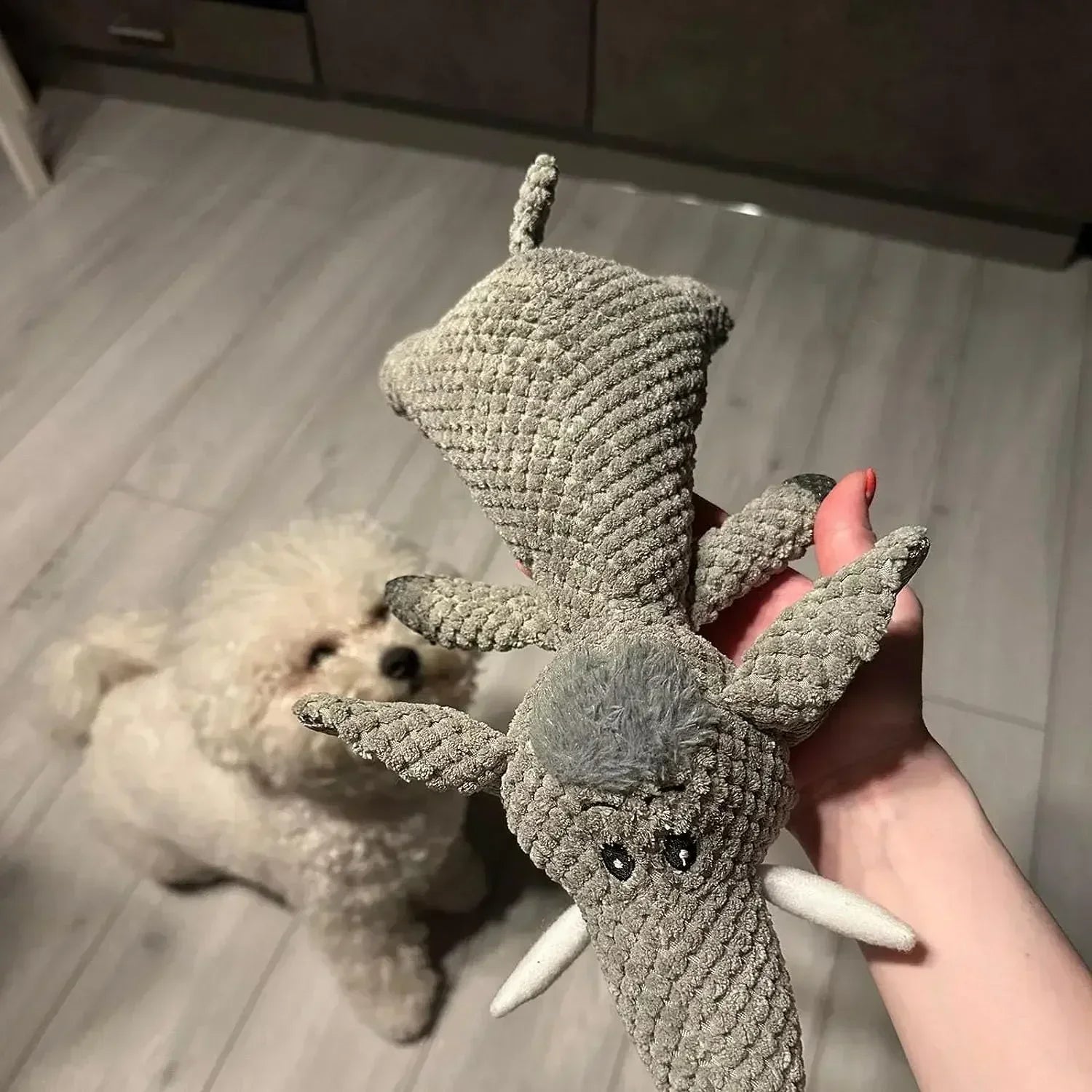 Pet Squeaky Toys