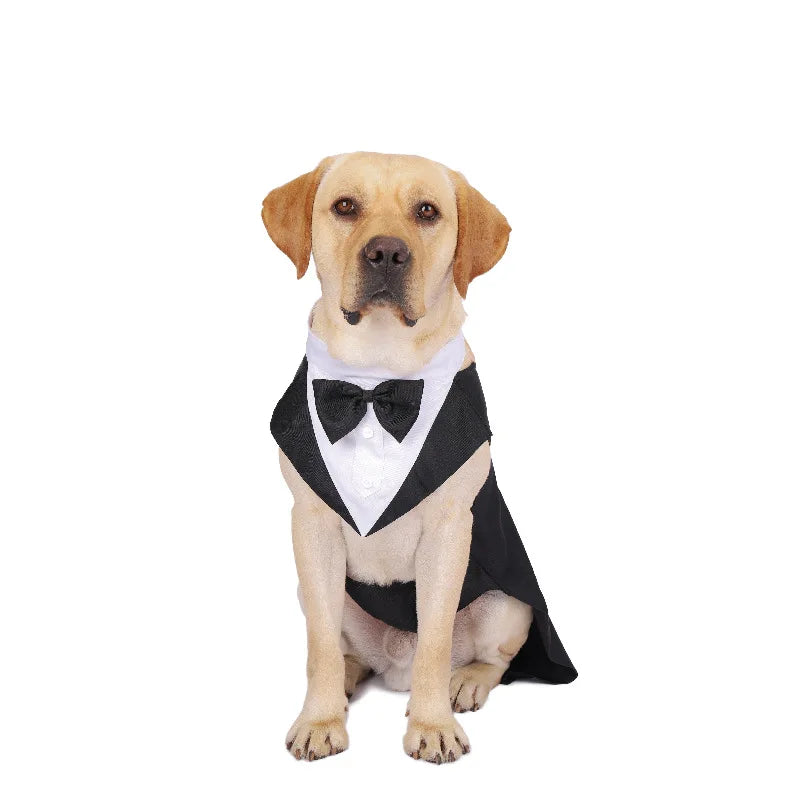 Dog Tuxedo