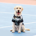 Dog T-shirt