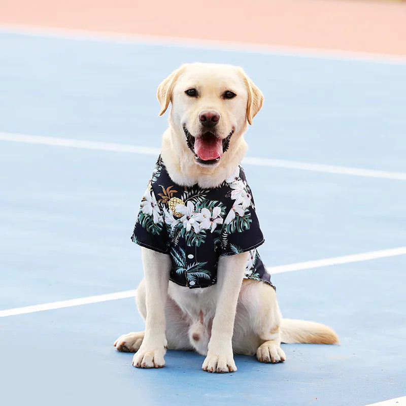 Dog T-shirt