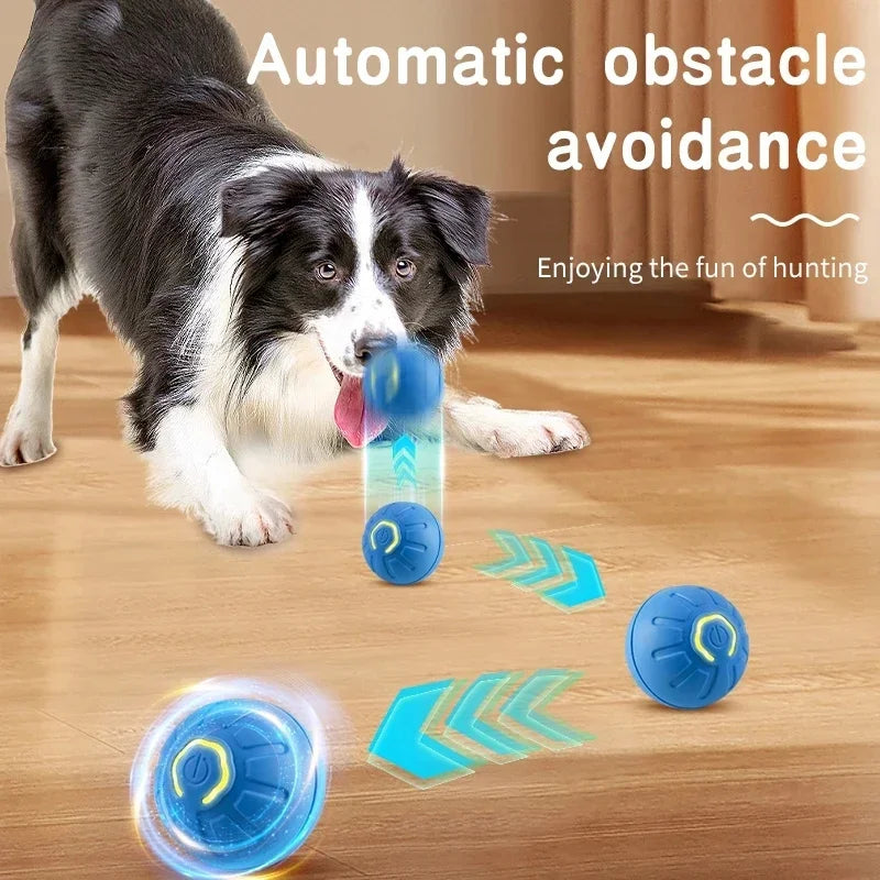 Electronic Interactive Ball