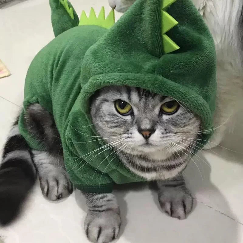 Variety Animal Costumes