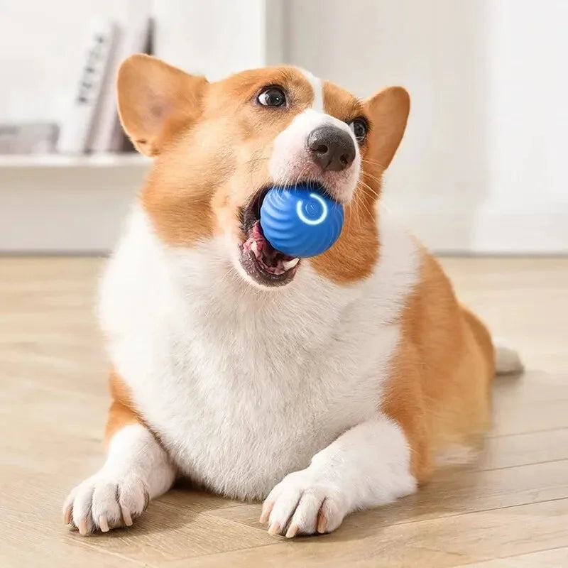 Electronic Interactive Ball