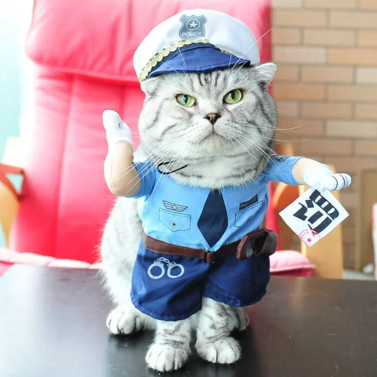 Variety Pet Costumes