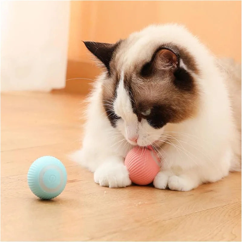 Electronic Interactive Ball